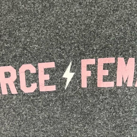 Wildfox Gray Fierce Female Brushed Knit Fleece Pullover Sweatshirt Small - Picture 7 of 7